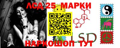 прущие грибы Малгобек