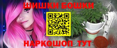 прущие грибы Малгобек