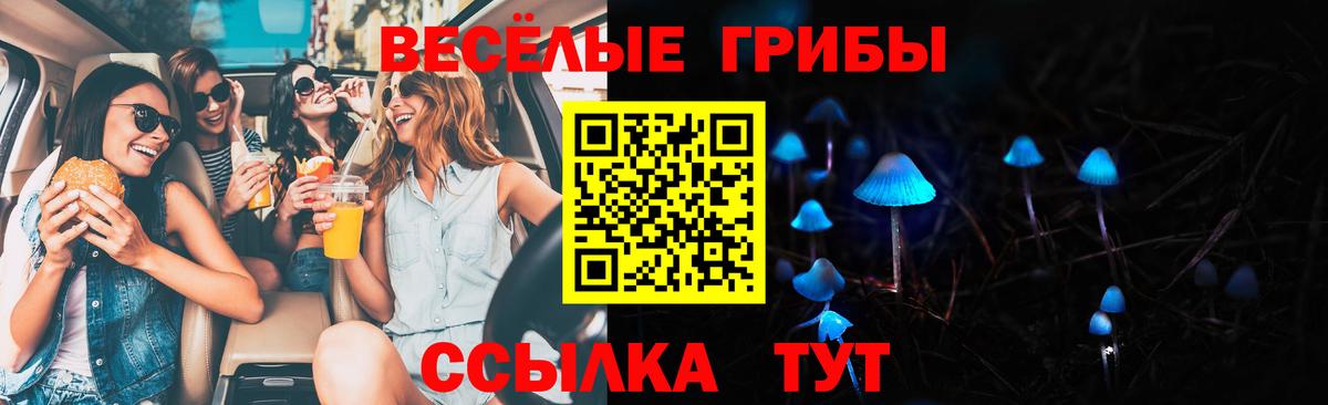Галлюциногенные грибы прущие грибы Ульяновск