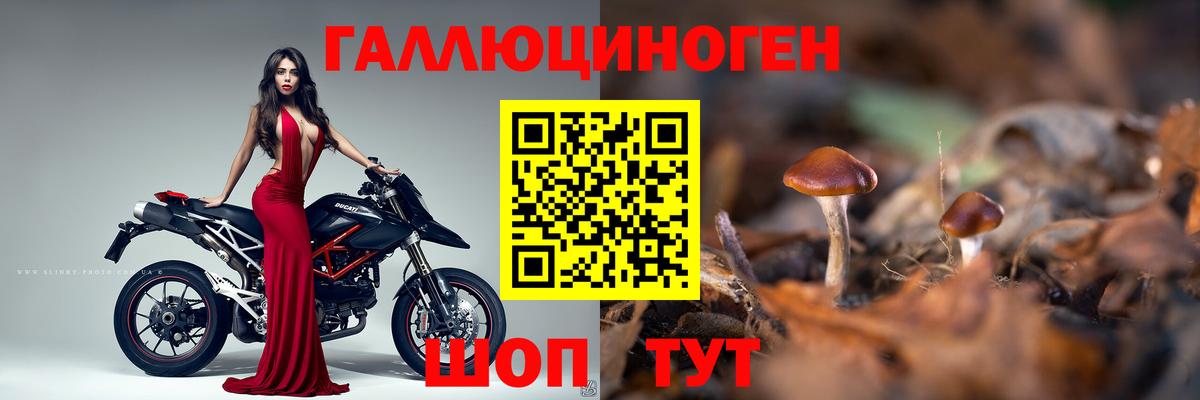 Псилоцибиновые грибы Magic Shrooms  Вход с VPN  Ульяновск 